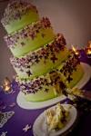 Madame Butterfly Cakes