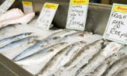 Snoekies Fish Market In Hout Bay Cape Town South Africa Retail Full Details