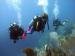 Scuba Diving Dominican Republic