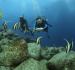 Manta Scuba Diving