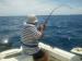 Fishing Rods Charters