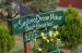 The Sedona Dream Maker Bed and Breakfast