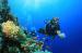 Tavolara Diving and Resort