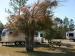 Bay Hide Away RV Park and Campground