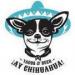 Ay Chihuahua Tacos and Beer