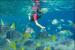 Snorkel en Cabo San Lucas - Cabo Excursions