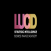 Lucid Strategic Intelligence Inc