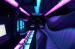 Party Bus Prices