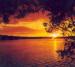 Everglades Rentals & Eco Adventures