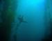 Neptune Divers Dive Gear
