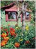 A Garden Cottage Retreat