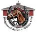 Ridgewood Ranch Tours