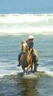 South Kaipara Horse Treks and Holiday Rides
