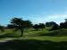 Castlecliff Golf Club