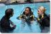 Simply Diving Courses