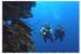 Red Sea Lucky Divers PADI Specialty Programs