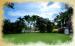 Caymanas Golf Country Club