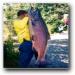 Alaska King Salmon Fishing