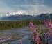 Alaska Nature Guides