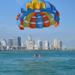 Miami Waterlife Tours