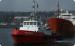Doyle Shipping Group Cobh