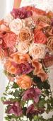 All Occasions Florists