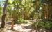 Cooktown Botanic Gardens