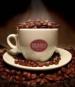 Arabica Coffee Bistro