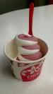 Cherry Tree Frozen Yogurt