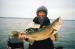 Walleye's Choice Fishing Tackle and Charter Service