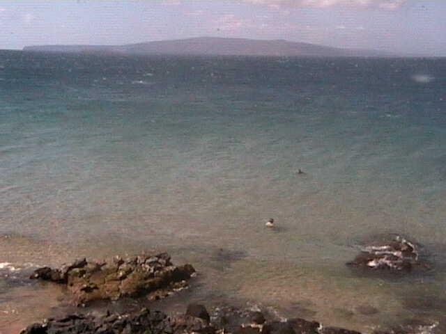 Webcam
