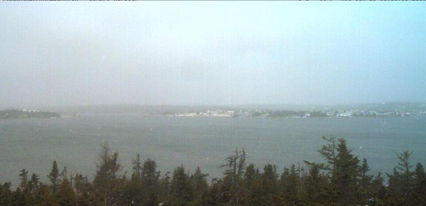 Webcam