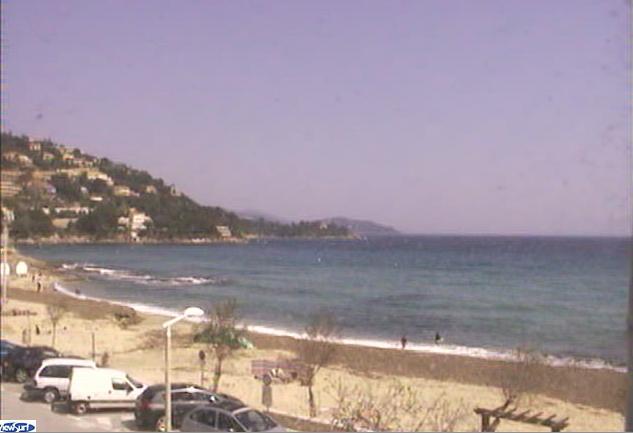 Webcam
