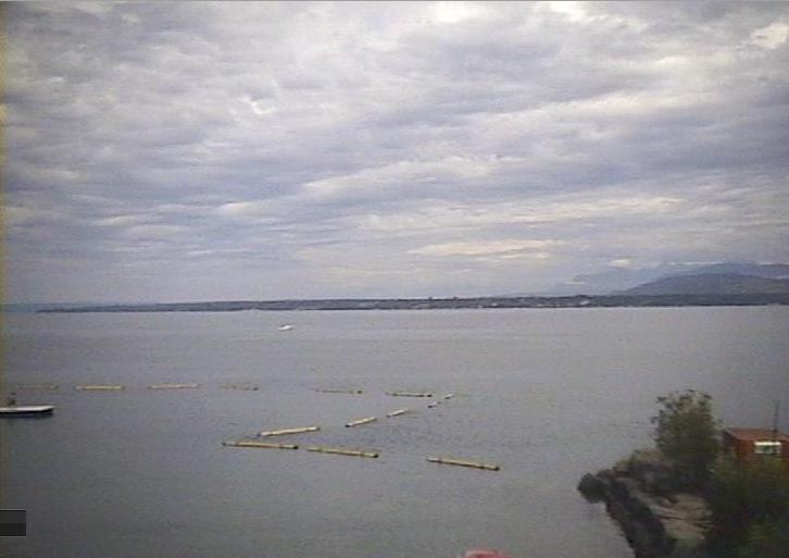 Webcam