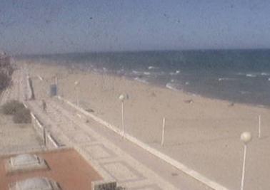 Webcam