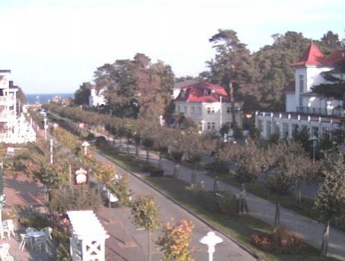Webcam
